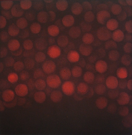 Untitled (Red dots), Etching on paper, 14 x 14 cm, 2013