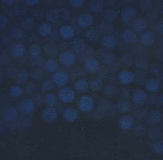 Untitled (Blue dots-II), Etching on paper, 14 x 14 cm, 2016