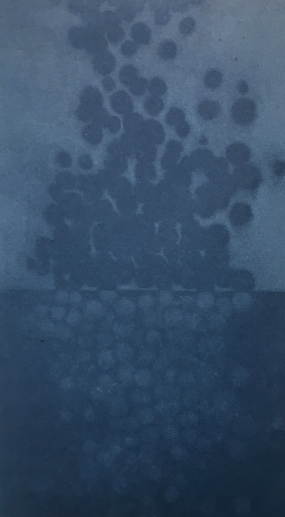Undertow (Blue and Silver) Special edition, Etching on paper, 22.8 x 12.8cm(paper size), 2013